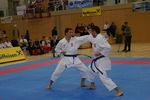 Karate Austrian Open 3140312