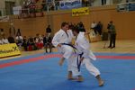 Karate Austrian Open 3140313