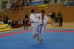 Karate Austrian Open 3140314