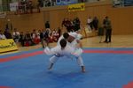 Karate Austrian Open 3140315