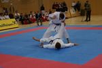 Karate Austrian Open 3140316