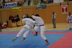 Karate Austrian Open 3140317