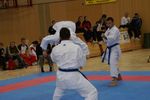 Karate Austrian Open 3140319