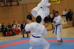 Karate Austrian Open 3140320