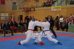 Karate Austrian Open 3140323