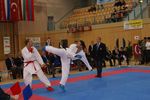 Karate Austrian Open 3140326