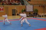 Karate Austrian Open 3140329