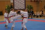 Karate Austrian Open 3140331