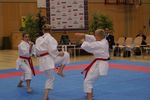 Karate Austrian Open 3140332