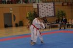 Karate Austrian Open 3140333