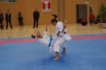 Karate Austrian Open 3140339