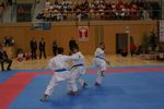 Karate Austrian Open 3140340