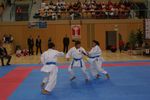 Karate Austrian Open 3140341