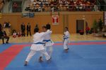 Karate Austrian Open 3140342