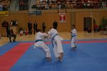 Karate Austrian Open 3140343