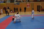 Karate Austrian Open 3140344