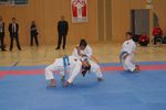 Karate Austrian Open 3140345