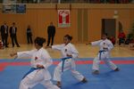 Karate Austrian Open 3140346