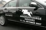 Amadeus Horse Indoors 3146918