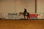 Amadeus Horse Indoors 3166889