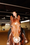 Amadeus Horse Indoors 3166890