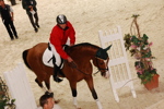 Amadeus Horse Indoors 3166893