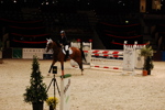 Amadeus Horse Indoors 3166902