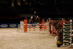 Amadeus Horse Indoors 3166903