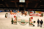 Amadeus Horse Indoors 3166907