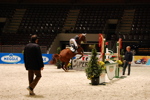 Amadeus Horse Indoors 3166915