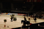 Amadeus Horse Indoors 3166948