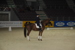 Amadeus Horse Indoors - Gala Abend 3166962