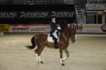 Amadeus Horse Indoors - Gala Abend 3166963