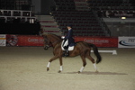 Amadeus Horse Indoors - Gala Abend 3166966