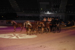 Amadeus Horse Indoors - Gala Abend 3166969