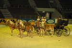 Amadeus Horse Indoors - Gala Abend 3166970
