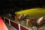 Amadeus Horse Indoors - Gala Abend 3166972