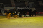 Amadeus Horse Indoors - Gala Abend 3166981