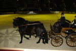 Amadeus Horse Indoors - Gala Abend 3166982