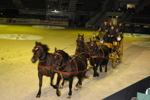 Amadeus Horse Indoors - Gala Abend 3166983