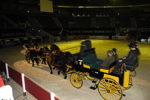 Amadeus Horse Indoors - Gala Abend 3166984