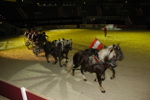 Amadeus Horse Indoors - Gala Abend 3166985