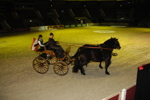 Amadeus Horse Indoors - Gala Abend 3166986