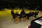 Amadeus Horse Indoors - Gala Abend 3166987