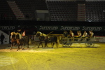 Amadeus Horse Indoors - Gala Abend 3166988