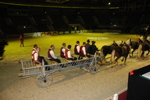 Amadeus Horse Indoors - Gala Abend 3166990