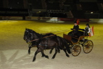 Amadeus Horse Indoors - Gala Abend 3166991