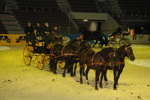 Amadeus Horse Indoors - Gala Abend 3166994