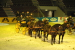 Amadeus Horse Indoors - Gala Abend 3166995