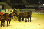 Amadeus Horse Indoors - Gala Abend 3166997